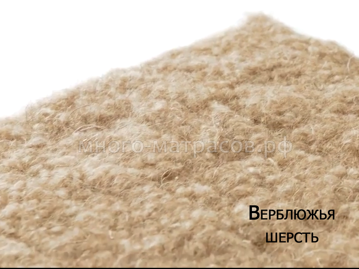 Верблюжий наполнитель. Верблюжья шерсть наполнитель. Шерсть верблюда. Верблюжий пух и шерсть. Волокна шерсти верблюд.